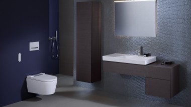 Geberit Sigma50 Flush Button